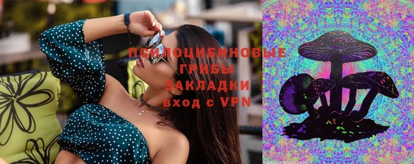 эйфоретик Гусев