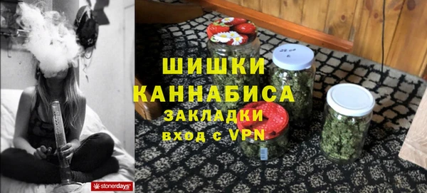 эйфоретик Гусев