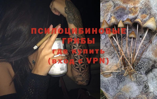 стафф Гусиноозёрск